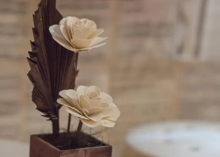 Vandrerhjem Serdika *