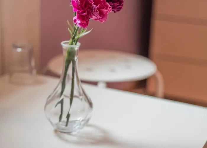 Vandrerhjem Serdika *